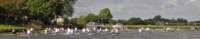 spg_10_3000208_small.jpg