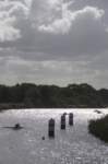 spg_10_3000263_small.jpg