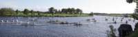 spg_10_d3a1687_small.jpg