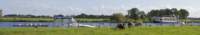 spg_10_d3a1689_small.jpg