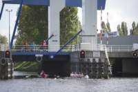 spg_10_d3s9826_small.jpg